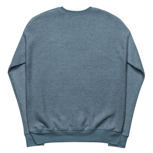 SABA STAR sueded fleece sweatshirt